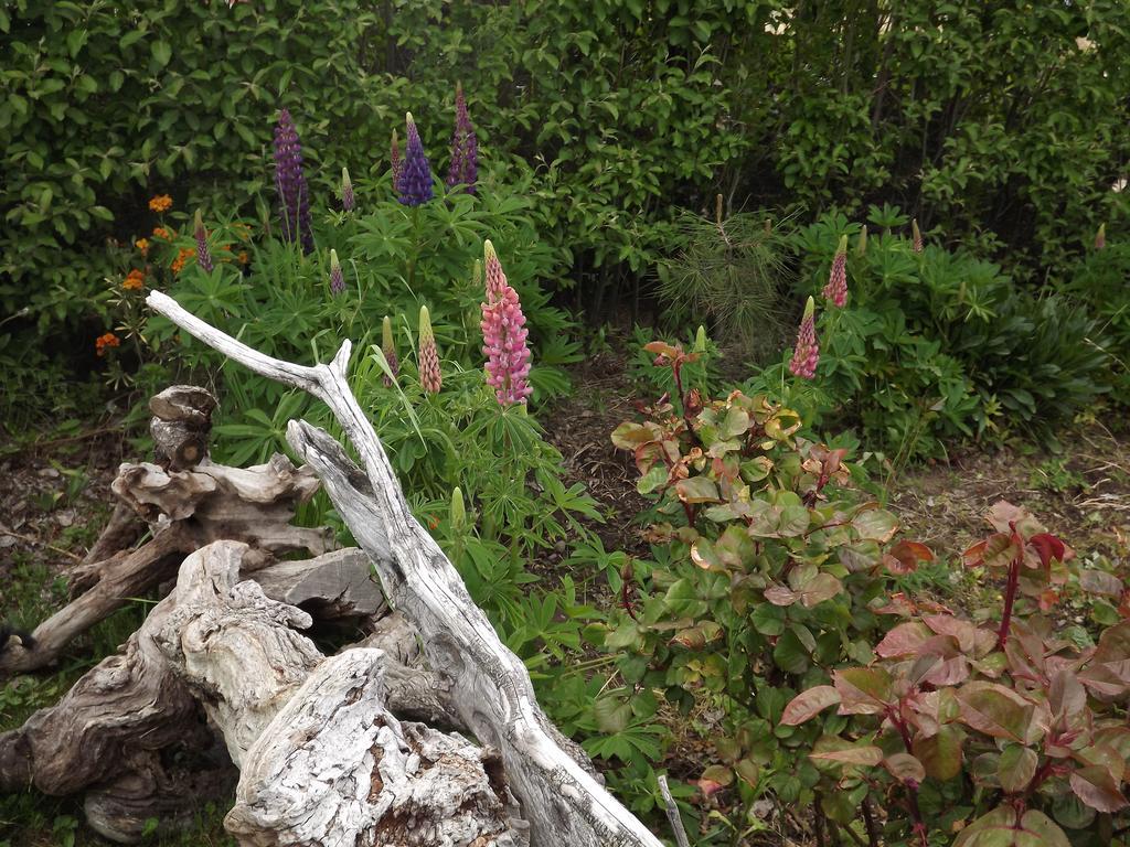 Kiritina'S House Homestay El Calafate Rom bilde