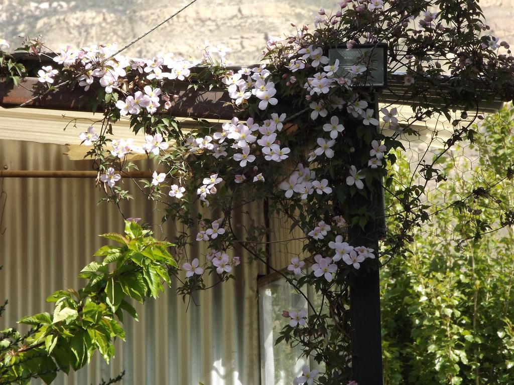 Kiritina'S House Homestay El Calafate Rom bilde